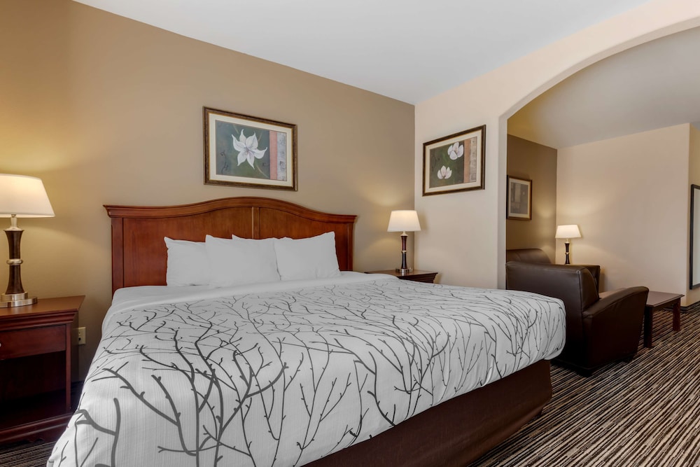 Suite, 1 King Bed, Non Smoking, Refrigerator & Microwave (with Sofabed) photo 1