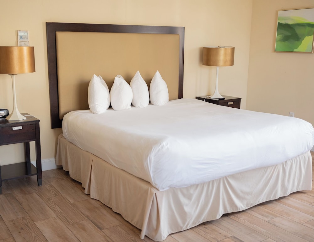 Room, 1 King Bed, Non Smoking, City View photo 2