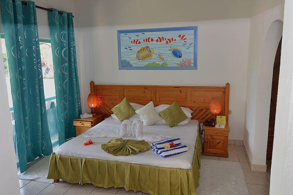 Deluxe Room (Single)