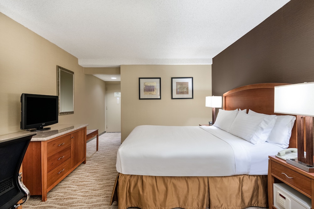 Suite, 1 Bedroom - Photo 3