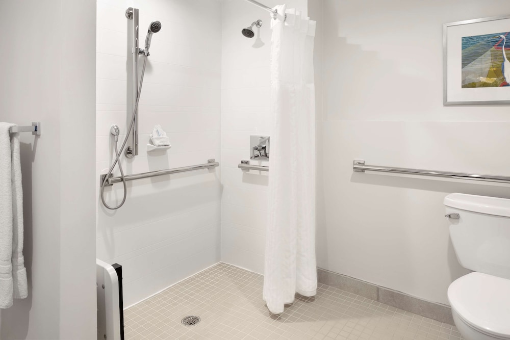 Suite, 1 King Bed, Accessible (Roll In Shower)