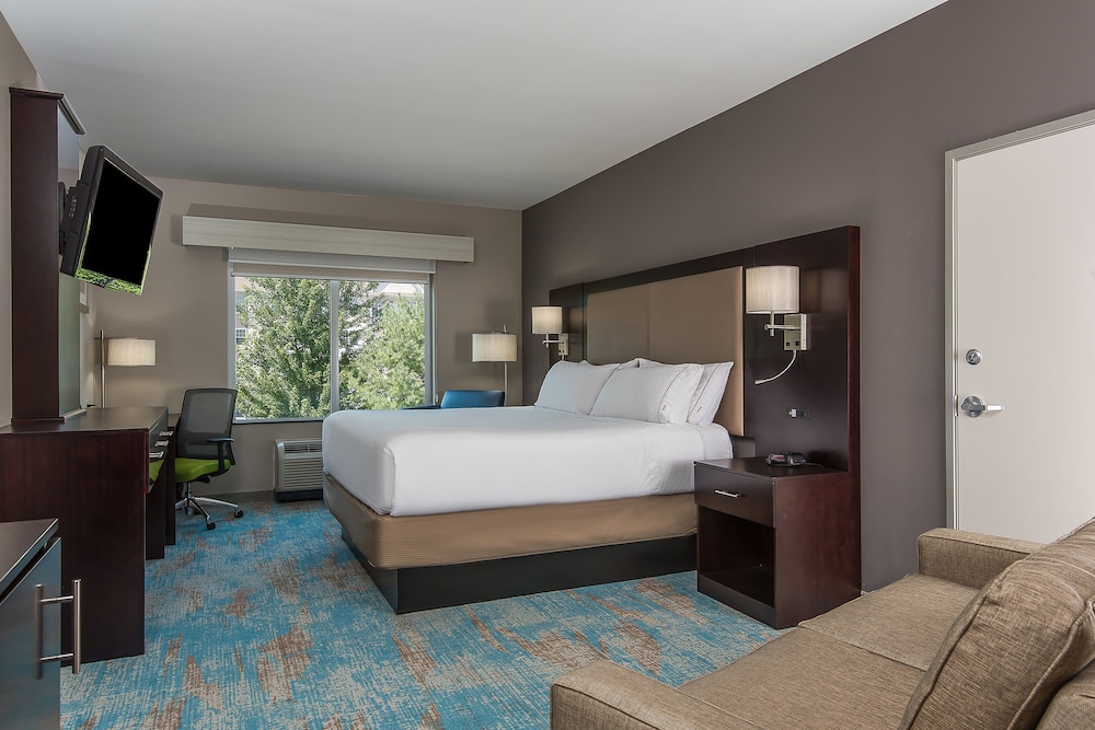 Suite, 1 King Bed with Sofa bed