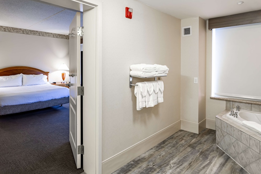 Suite, 1 King Bed, Accessible - Photo 1