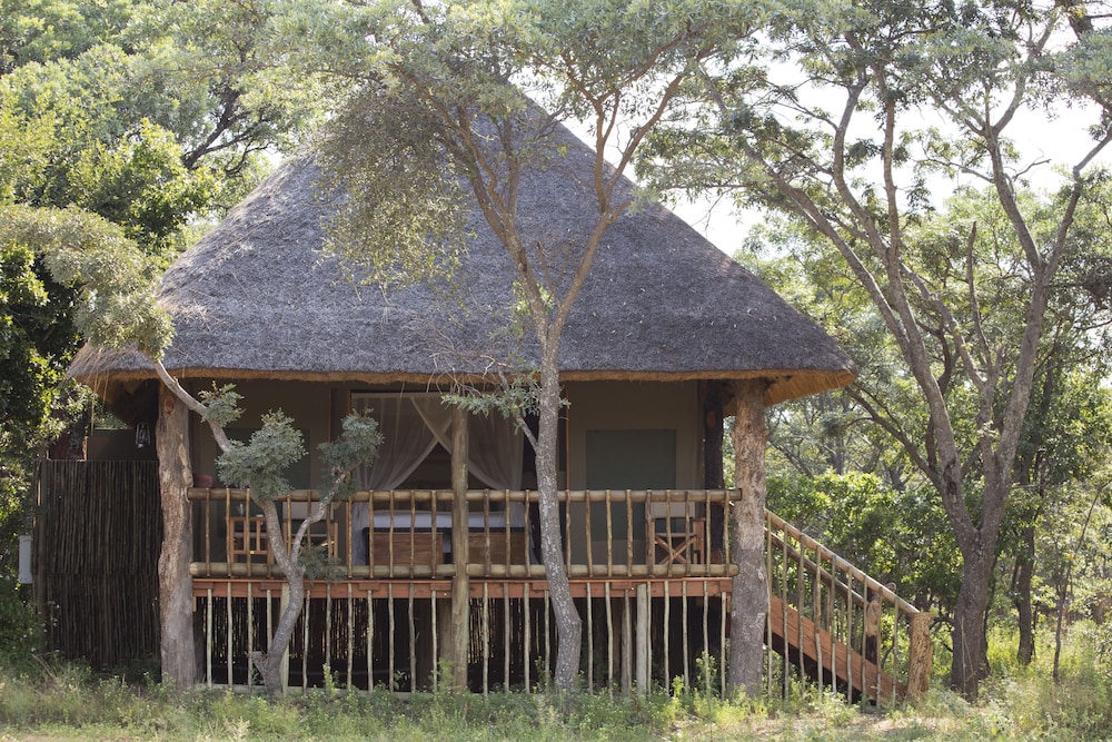 Deluxe Tent, Multiple Bedrooms photo 1