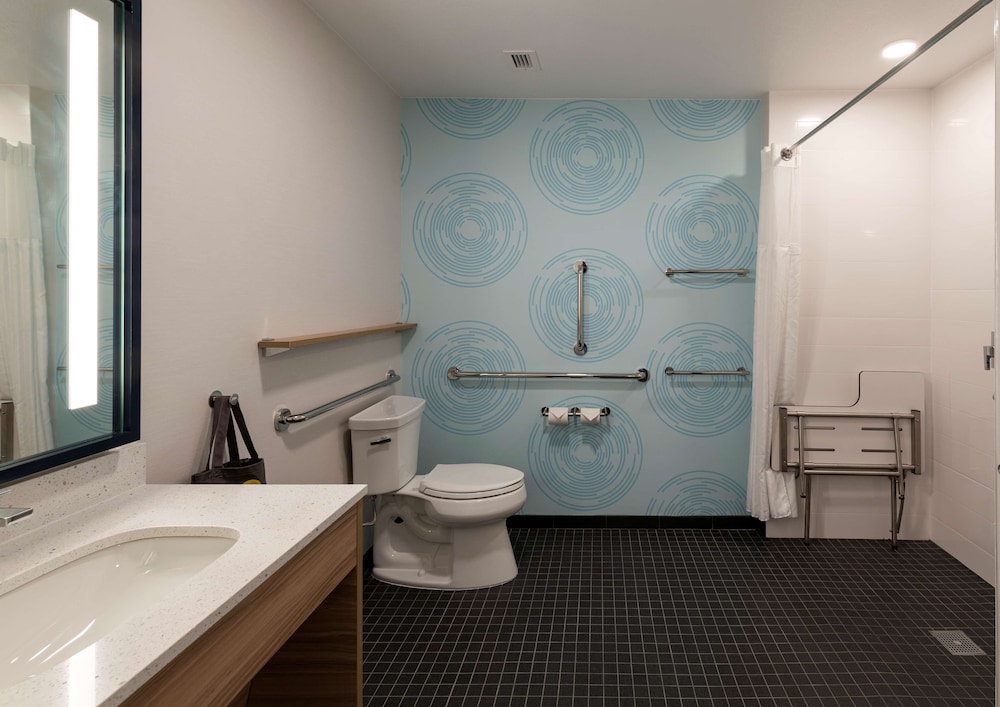 Room, 1 King Bed, Accessible (Roll-In Shower) - Photo 4