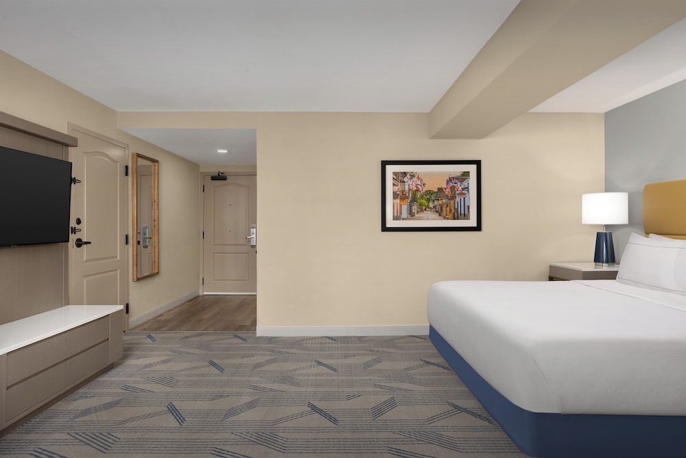 Room, 1 King Bed, Accessible - Photo 5