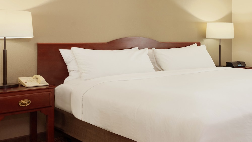 One Bedroom Suite King Bed - Photo 3