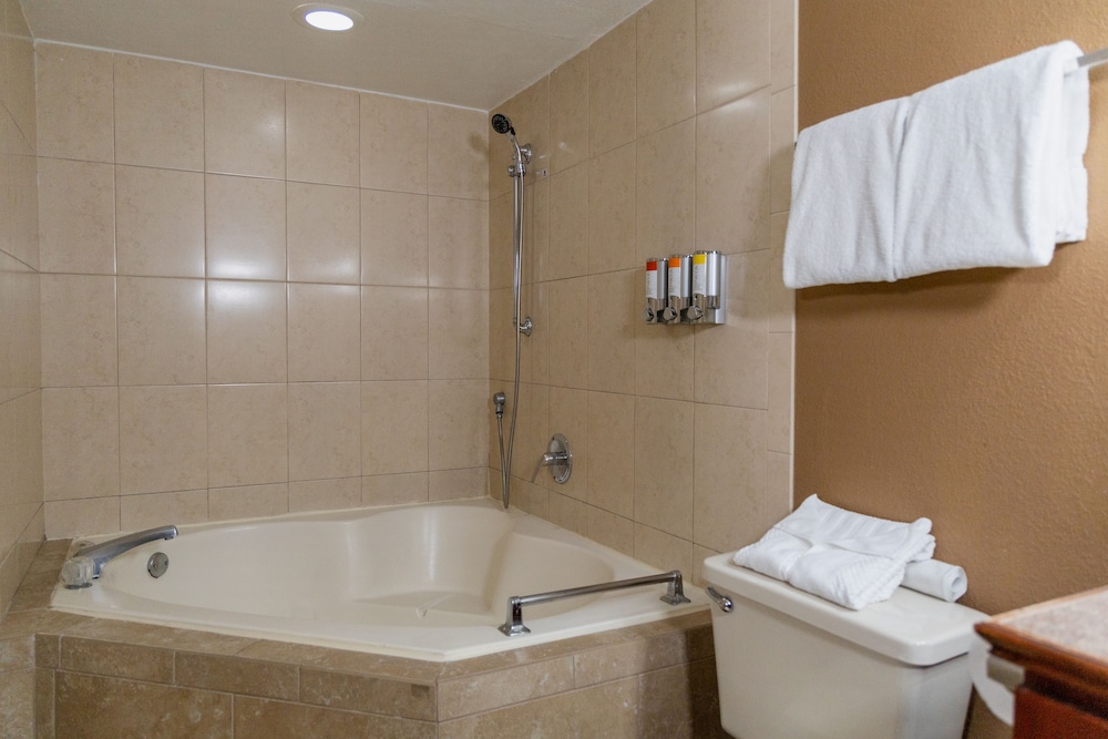 Suite, 2 Bedrooms - Photo 15