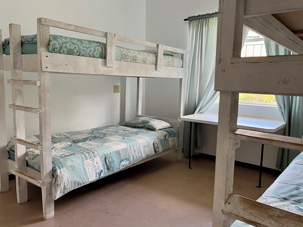 Basic Shared Dormitory photo 1