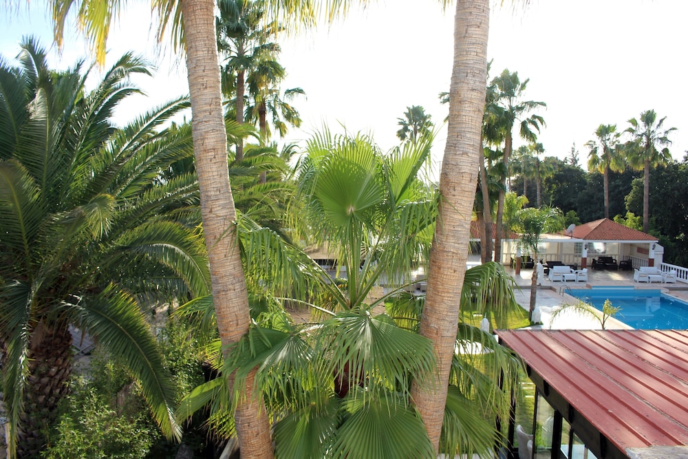 Comfort Suite, Terrace, Pool View photo 2