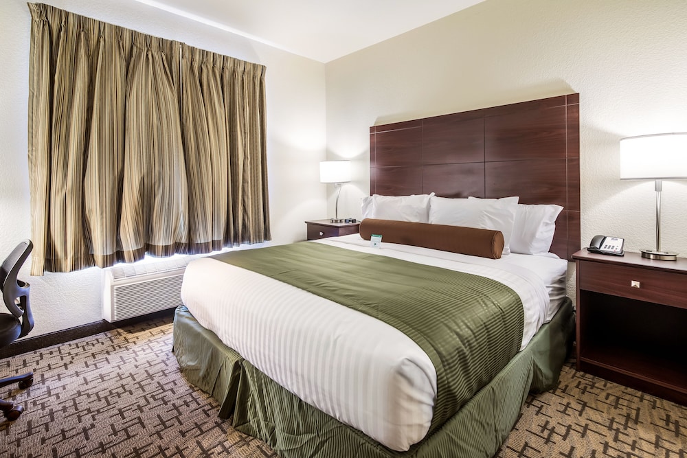 Studio Suite, 1 King Bed with Sofa bed, Accessible, Non Smoking photo 3