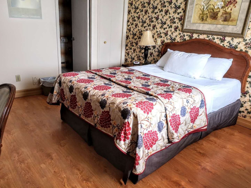 Superior Room, 1 Queen Bed photo 2