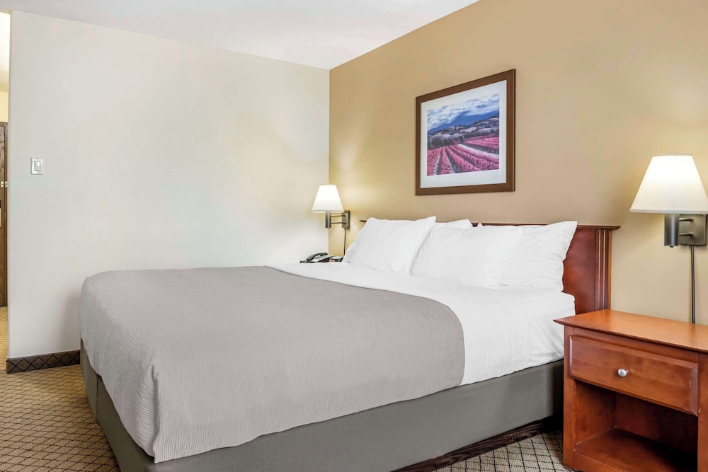Standard Room, 1 King Bed, Non Smoking - Photo 2