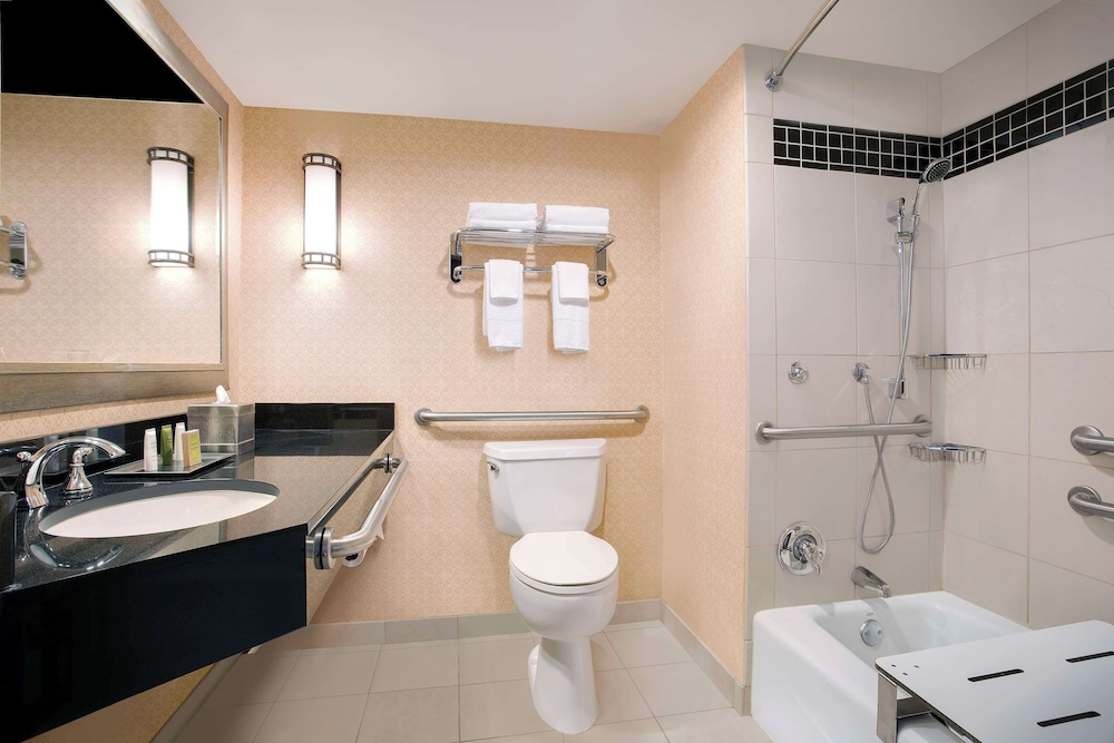 Business Room, 1 King Bed, Accessible, Bathtub - Photo 7