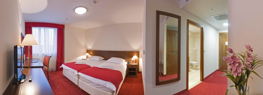 Double Room Single Use