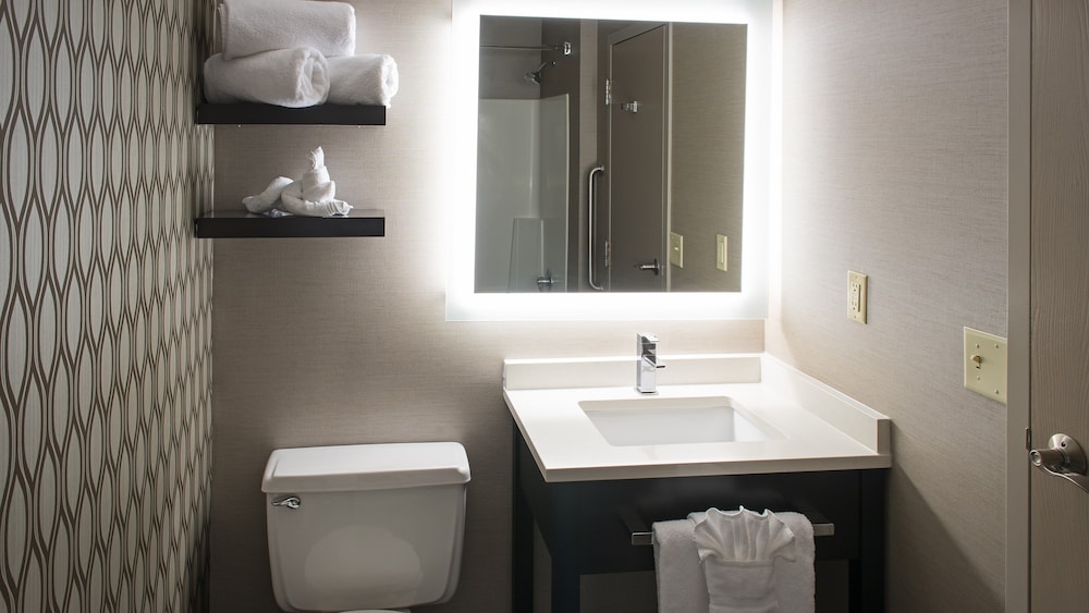 Holiday Inn St. Paul Downtown by IHG, Foto 5
