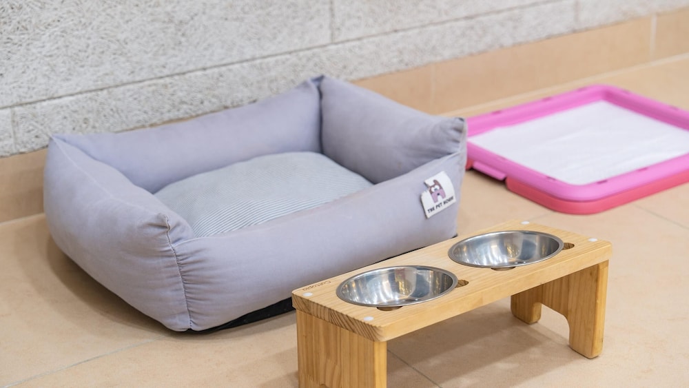 Basic Room, 1 Bedroom (Kids1 (spa)) - Photo 2