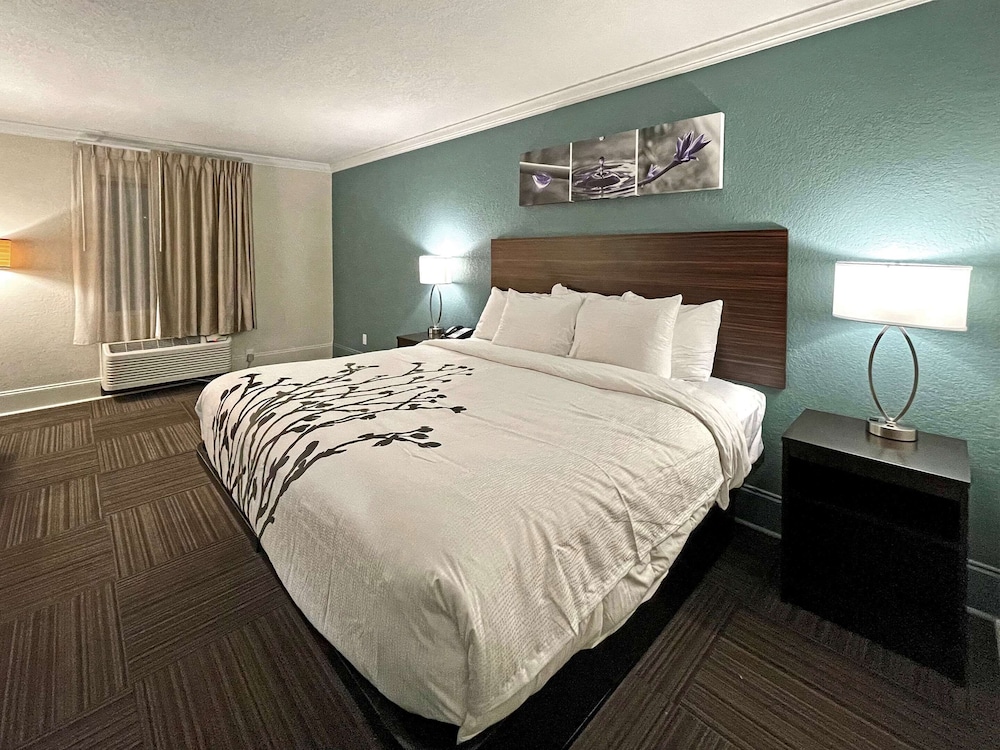 Suite, 1 King Bed with Sofa bed photo 2