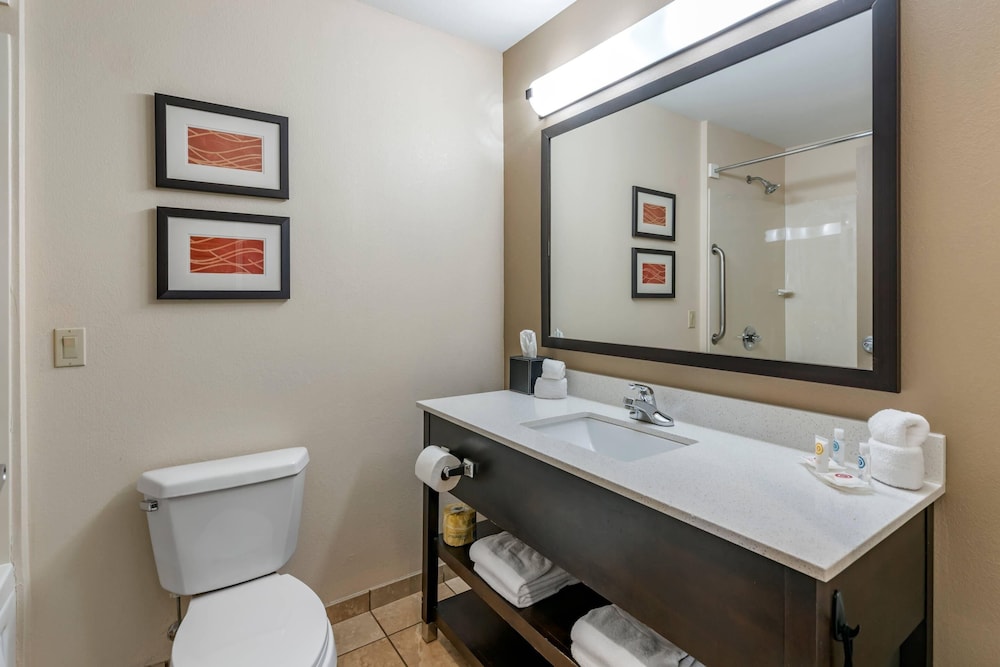 Room, 1 King Bed, Non Smoking (Pet Friendly) - Photo 6