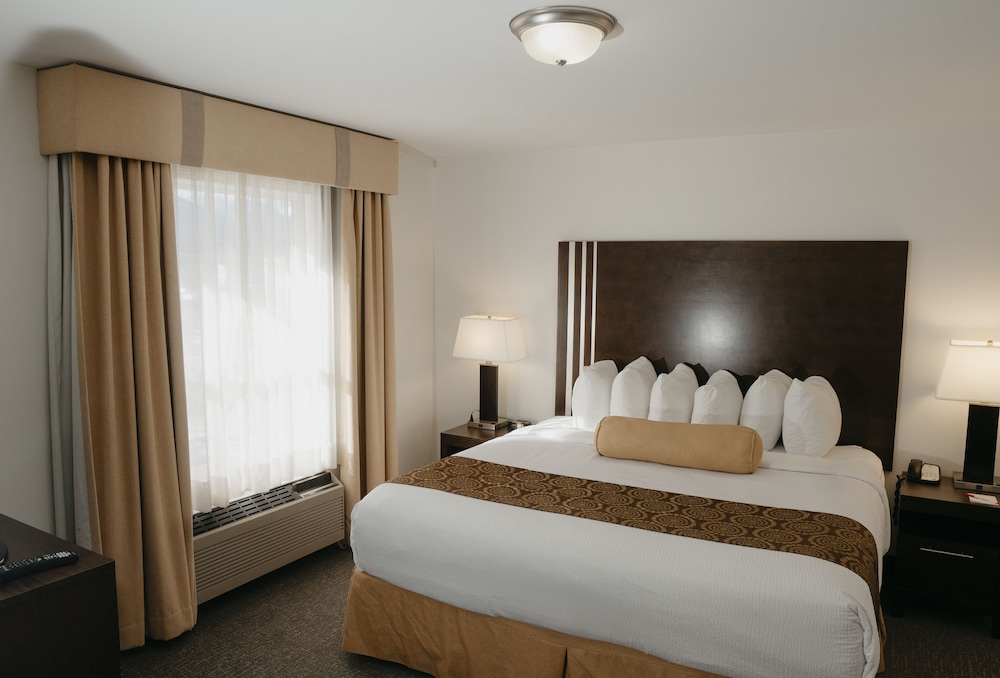 Room, 1 King Bed, Non Smoking photo 3