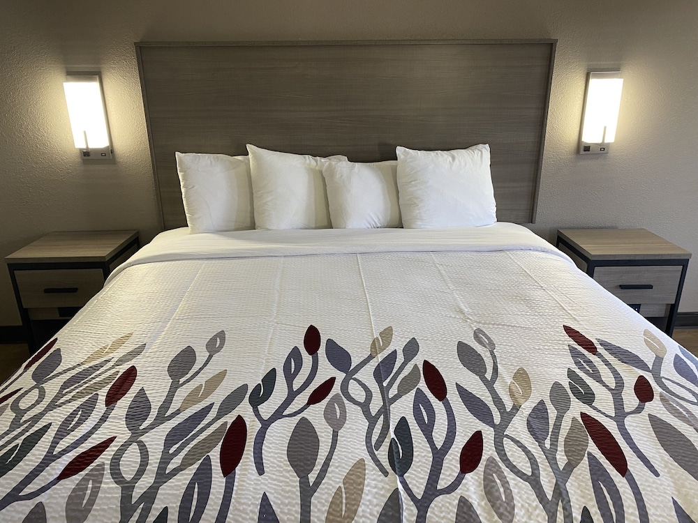 Deluxe Room, Accessible, Non Smoking (Roll-in Shower) - Photo 1