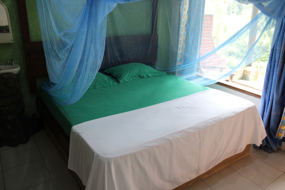 Panoramic Room, Mountain View photo 2