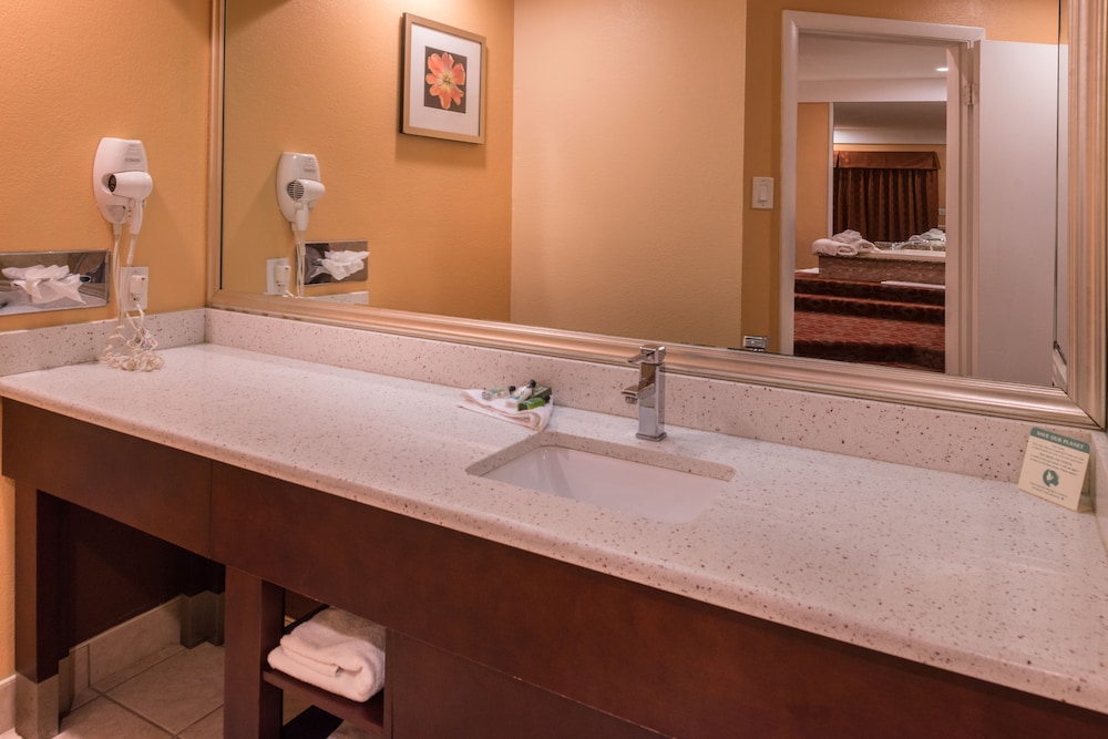 Deluxe Romantic Suite with Jetted Tub & Fireplace photo 3