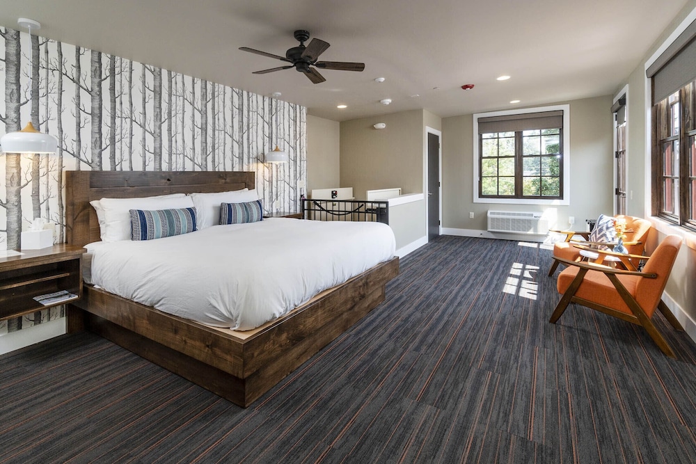 Room 102 photo 2
