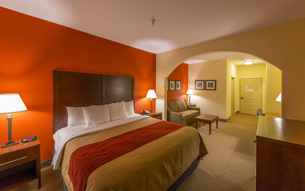 Suite, 1 King Bed - Photo 5