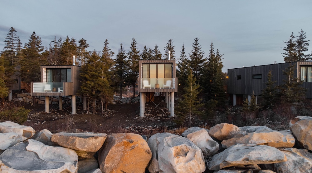 Luxury Tree House photo 2