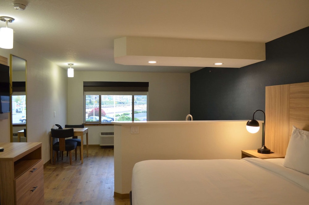 Suite, 1 King Bed, Non Smoking (Efficiency) - Photo 8