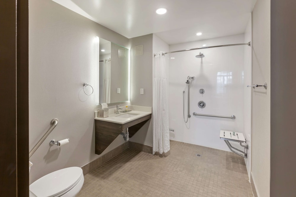 Suite, 1 King Bed, Accessible, Kitchen (with Sofabed, Full Kitchen) - Photo 5