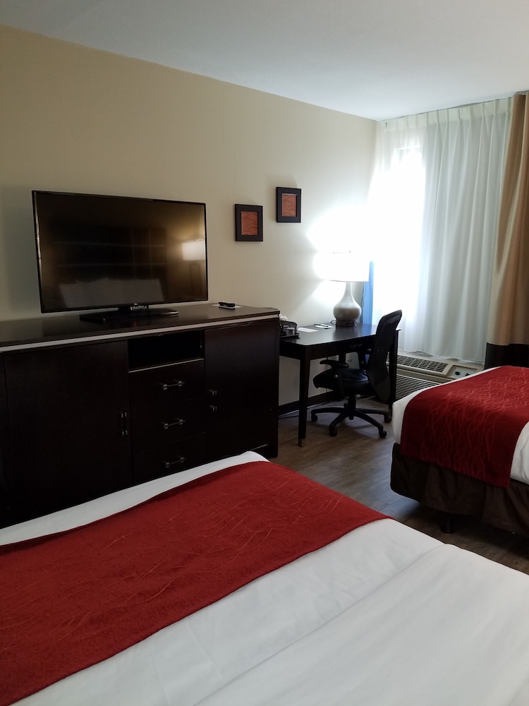 Room, 2 Double Beds, Accessible, Non Smoking - Photo 3