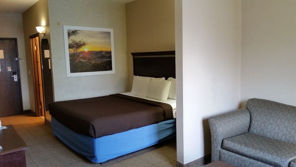 Suite, 1 King Bed with Sofa bed photo 2