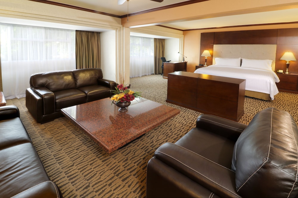 Suite, 1 King Bed - Photo 5