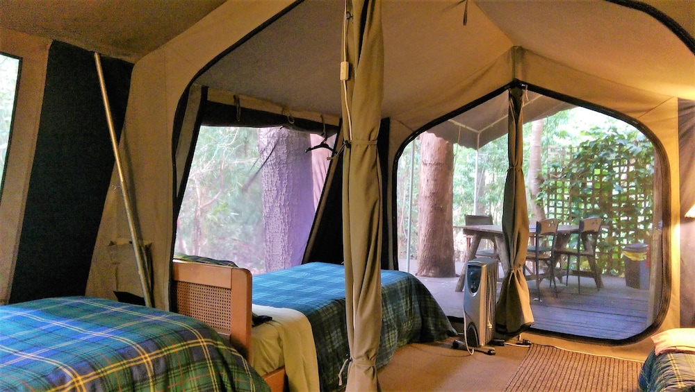 Luxury Safari Tent photo 3