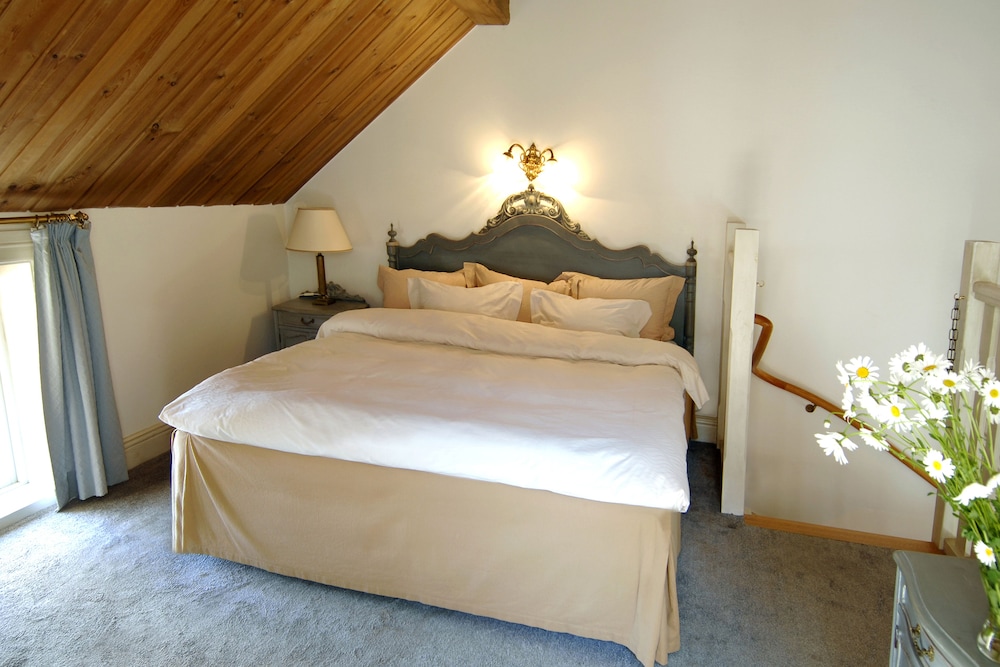 Family Room, 1 Queen Bed with Sofa bed photo 2