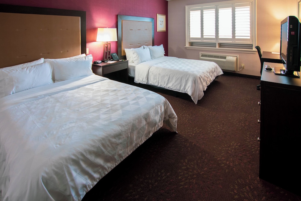 Suite, 1 Bedroom