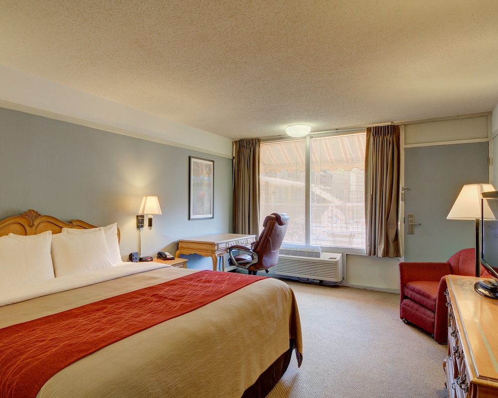 Standard Room, 1 King Bed, Non Smoking