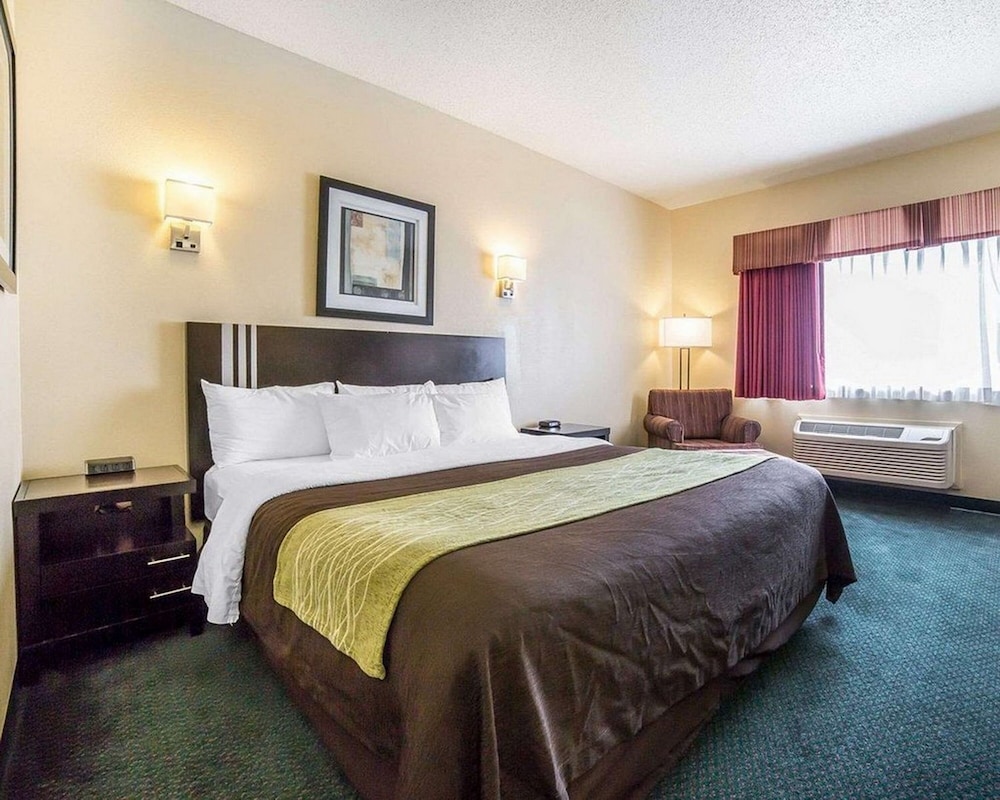 Deluxe Studio Suite, 1 King Bed, Accessible, Non Smoking photo 3
