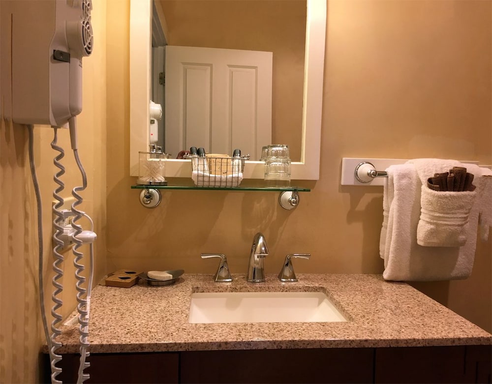 Alder (Suite 1) photo 2