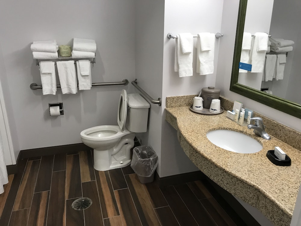 Room, 1 King Bed, Accessible, Non Smoking (Roll-in Shower) - Photo 4