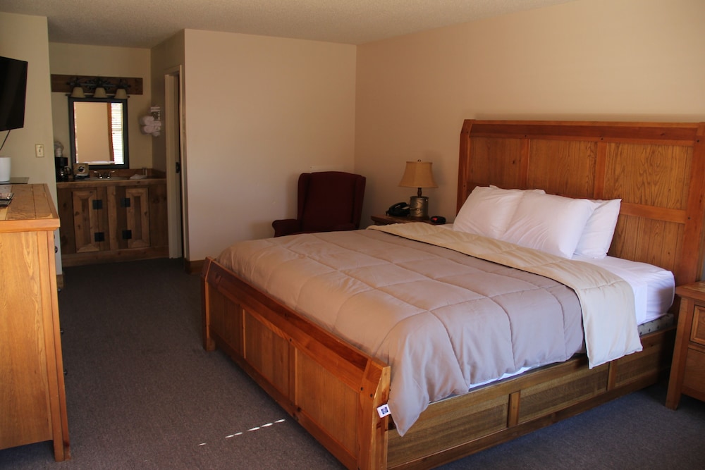 Room, 1 King Bed photo 2