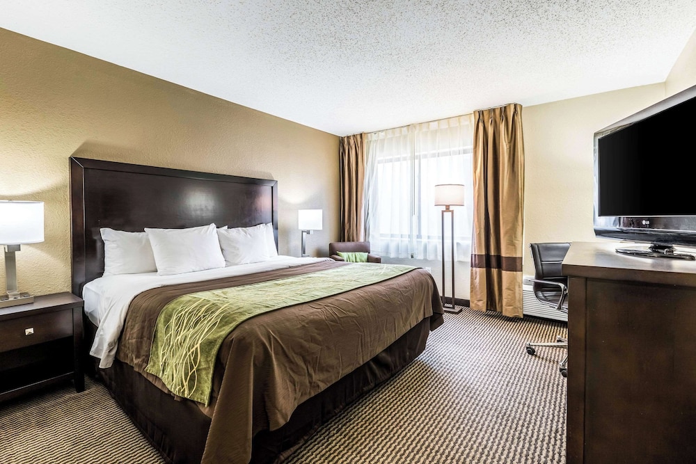 Standard Room, 1 King Bed, Non Smoking, Jetted Tub - Photo 1