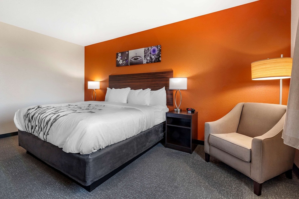 Suite, 1 King Bed, Non Smoking (Upgrade) - Photo 3