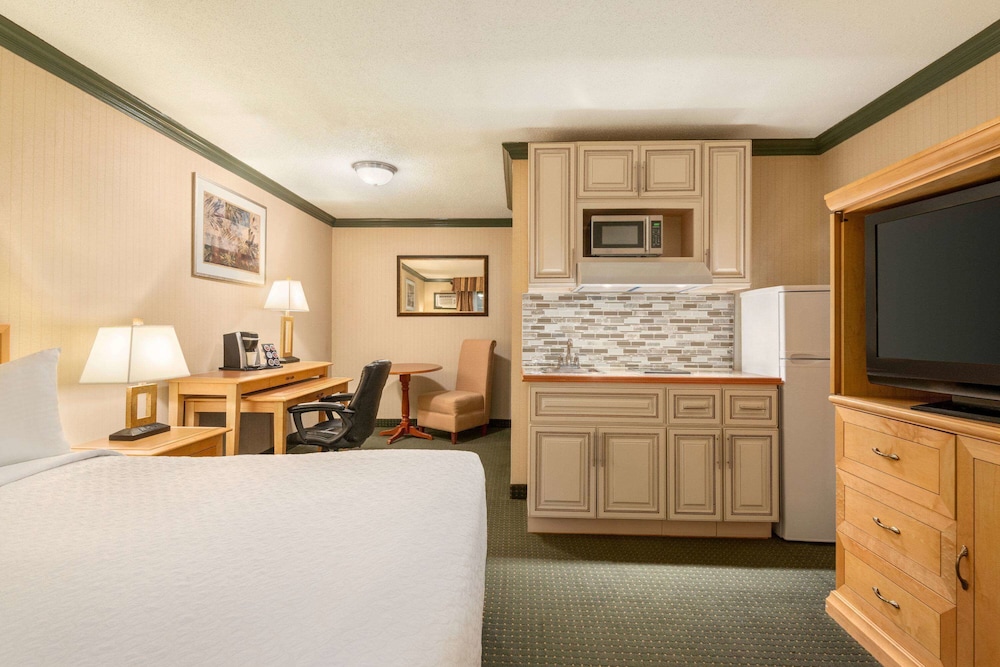 Room, 1 King Bed, Non Smoking photo 1