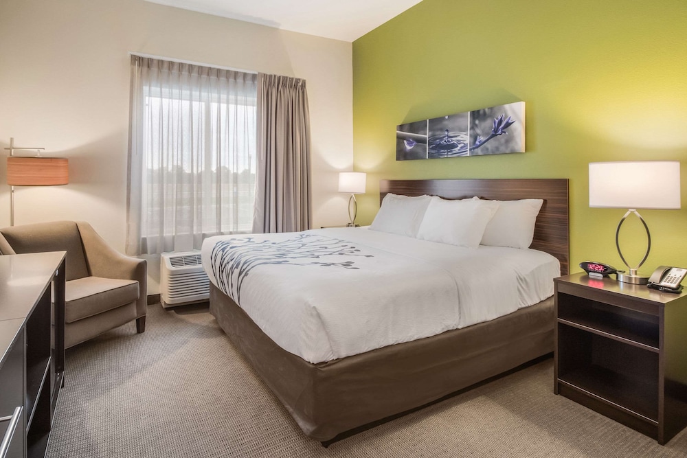 Suite, 1 King Bed with Sofa bed, Accessible, Non Smoking - Photo 3