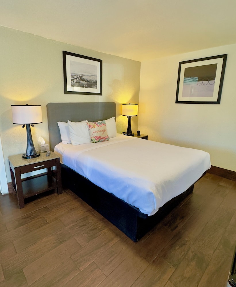 Standard Single Room, 1 Queen Bed, Refrigerator & Microwave