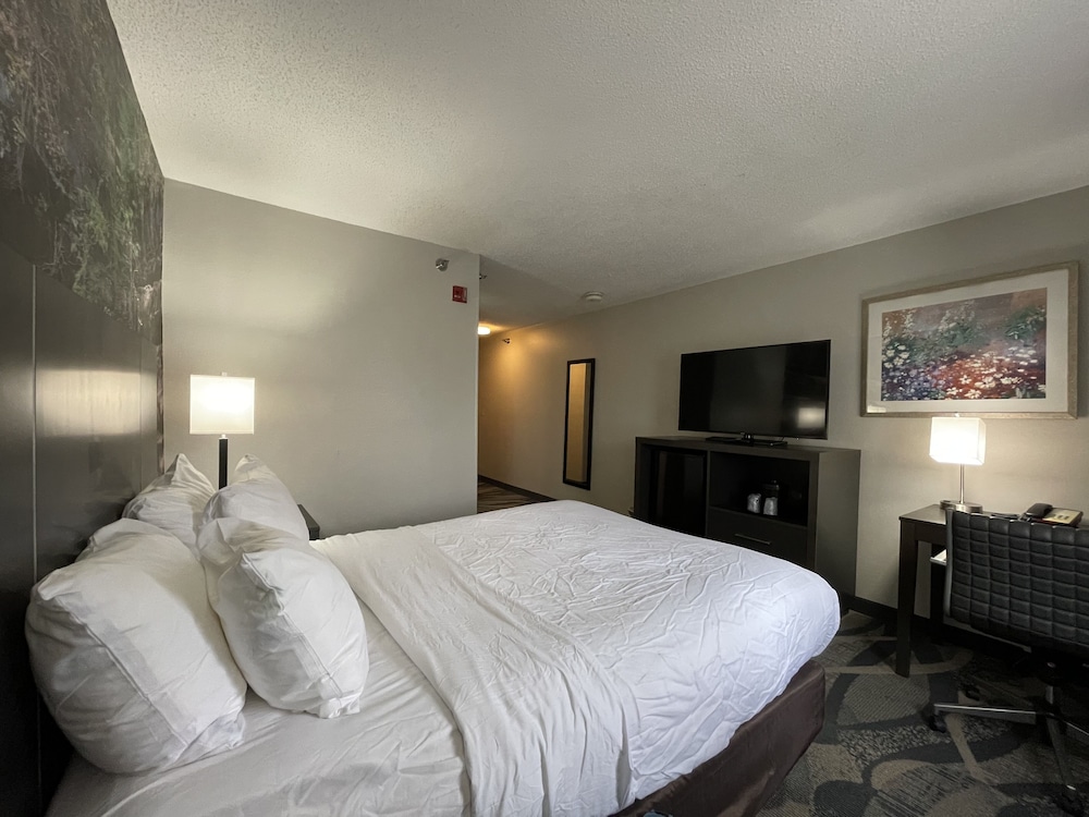 Room, 1 King Bed, Accessible, Non Smoking (Efficiency) - Photo 5