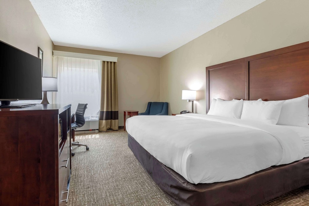 Room, 1 King Bed, Accessible, Non Smoking (Roll-In Shower) photo 1